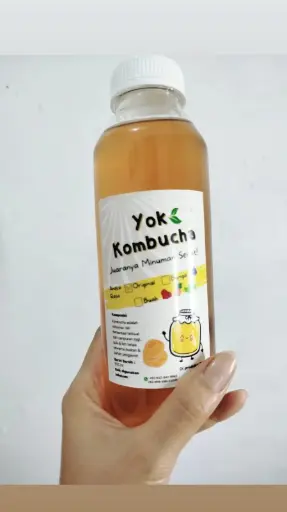KombuCha Original